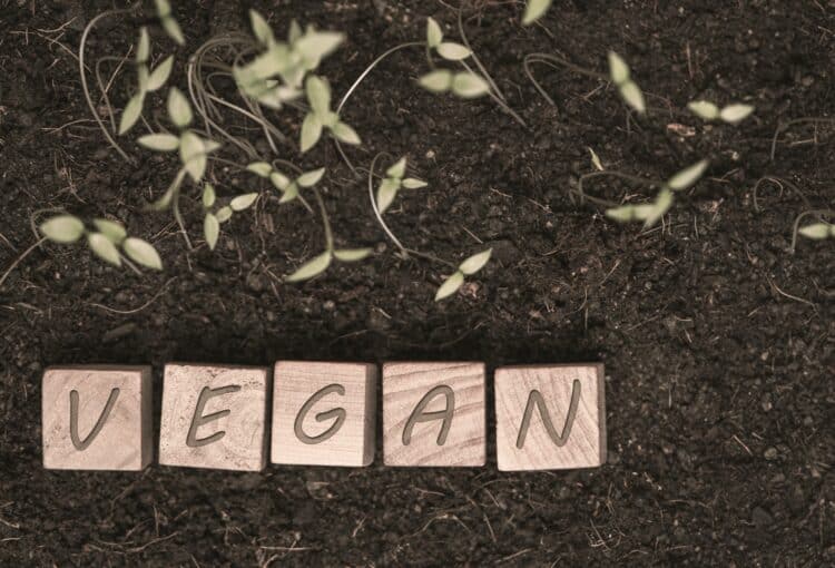 Wooden dice on the ground with the word vegan written on it.
