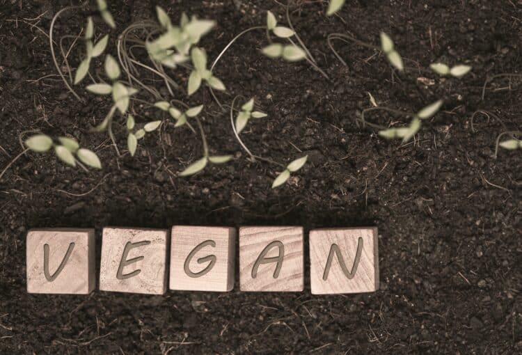 Wooden dice on the ground with the word vegan written on it.