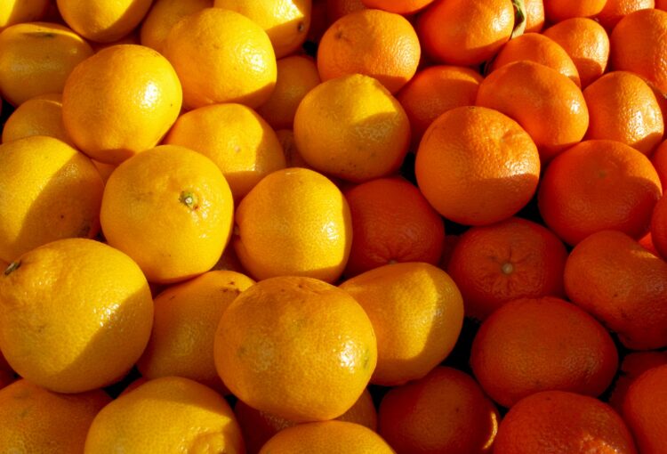 yellow and orange oranges