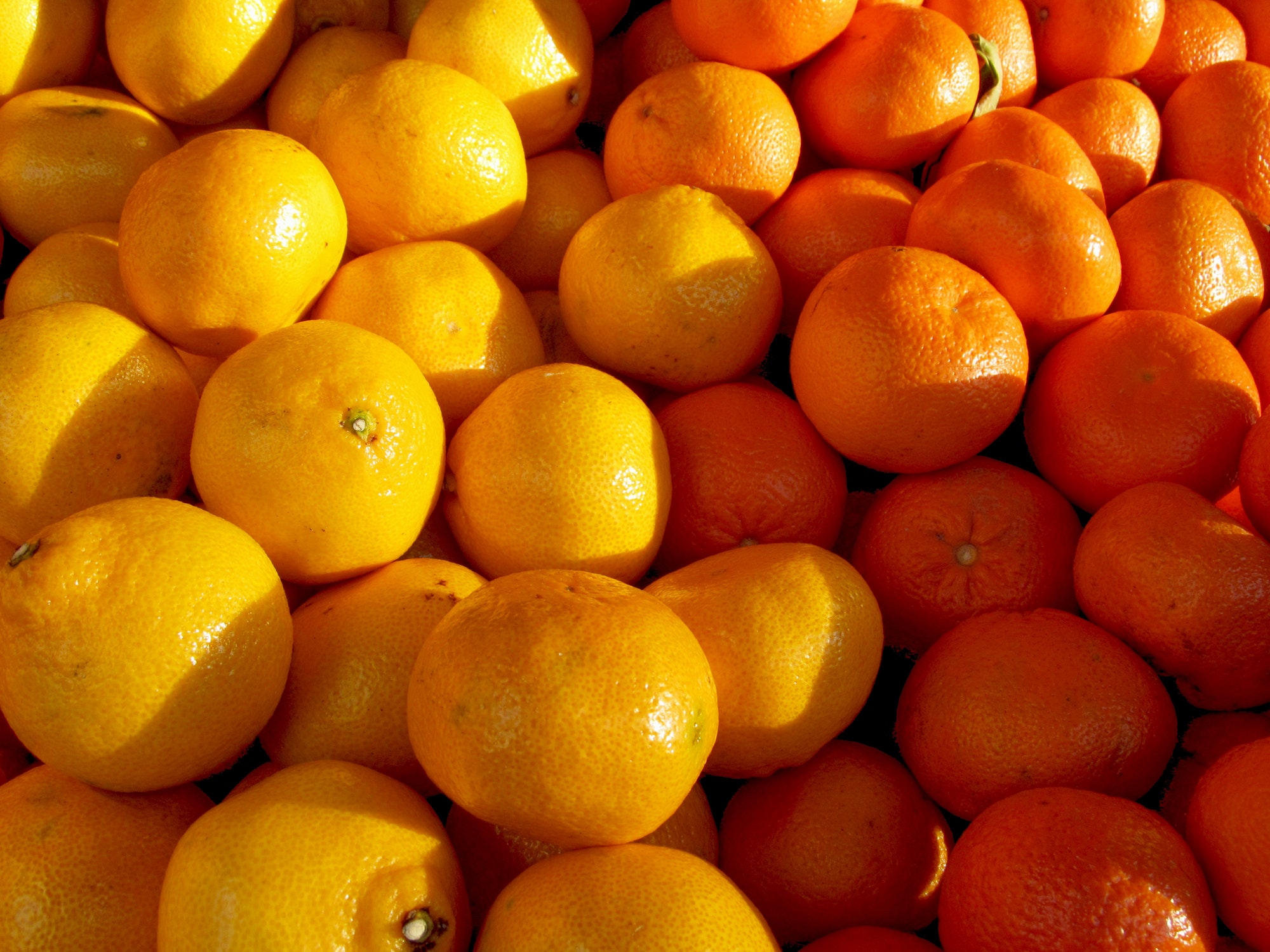 yellow and orange oranges