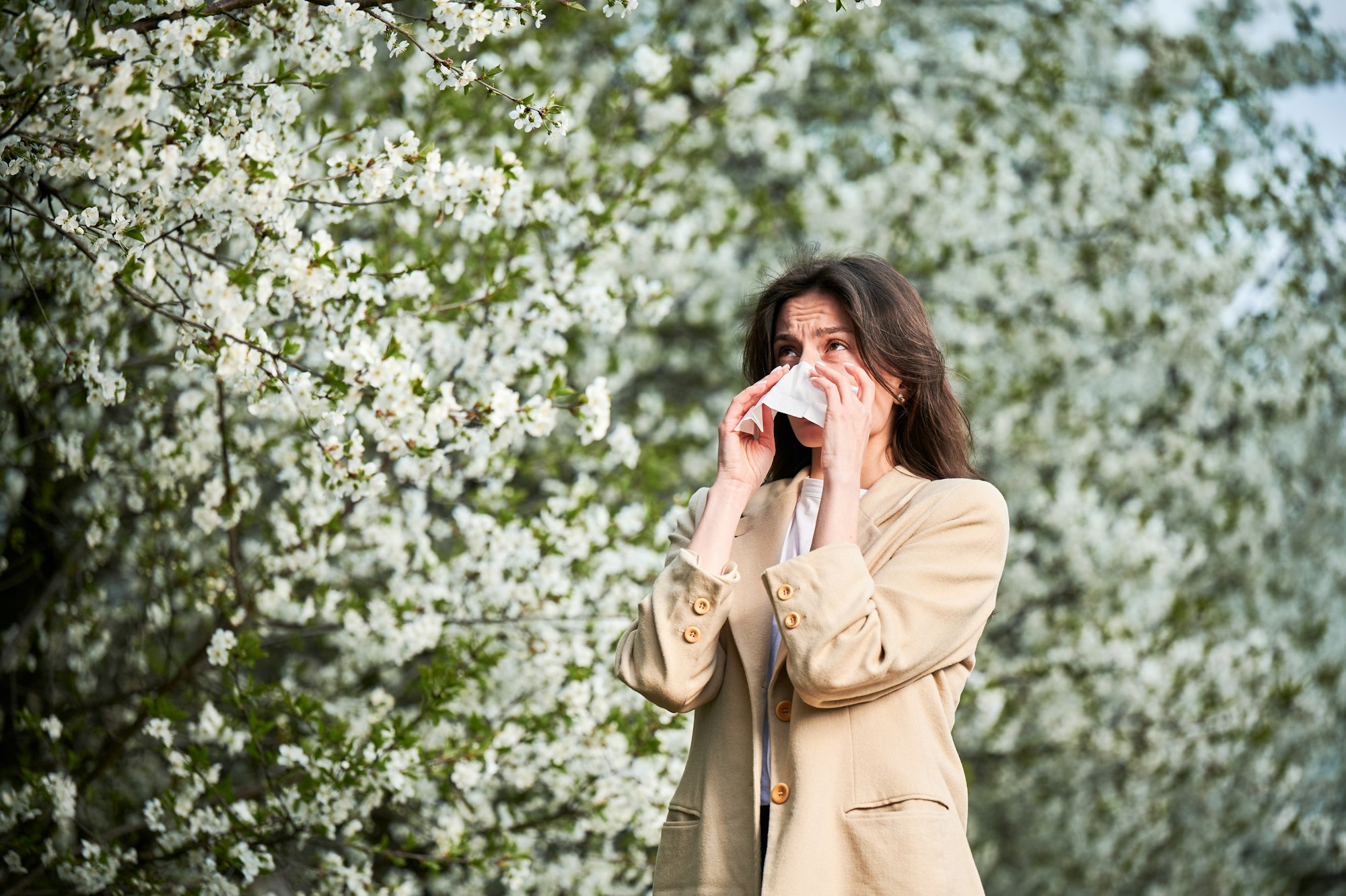 Woman allergic suffering from seasonal allergy at spring, sneezing, blowing nose with handkerchief.